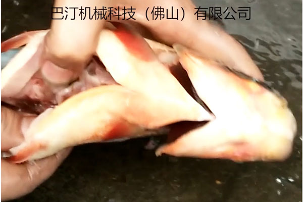 殺魚(yú)機(jī)的優(yōu)點(diǎn)有哪些?巴汀機(jī)械小編為您細(xì)數(shù)