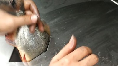 殺魚機(jī)的優(yōu)點有哪些?巴汀機(jī)械小編為您細(xì)數(shù)
